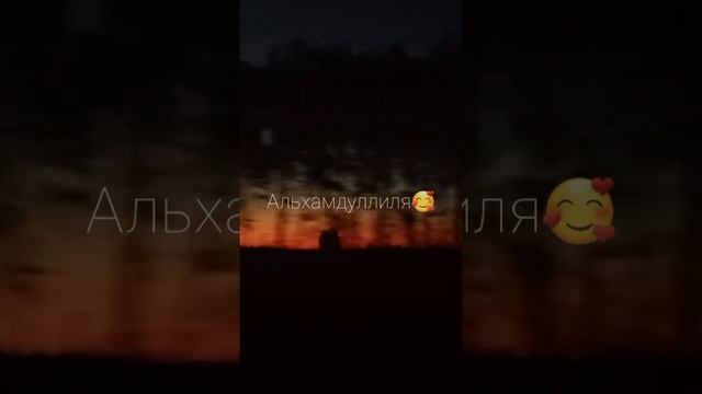 Я встретил тебя Субханаллах #elvingrey смотреть онлайн