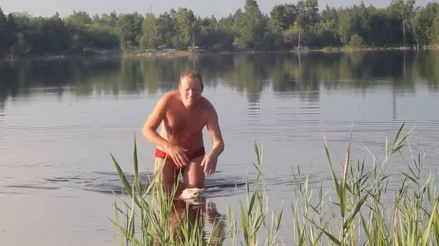 Фильм о плавании кошки Рыжи смотреть онлайн