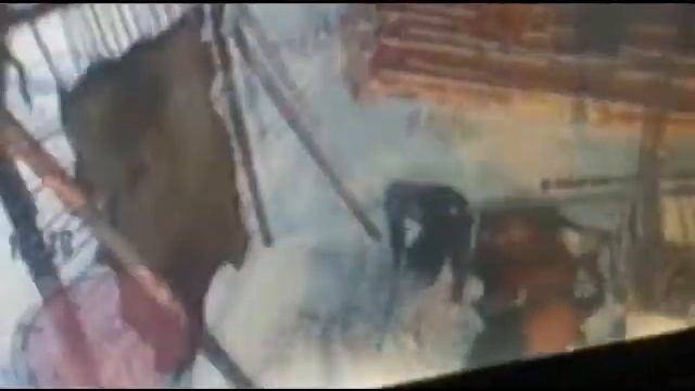 Red Dead Redemption - Khan the legendary Jaguar смотреть онлайн