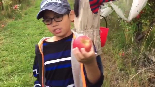 APPLE PICKING in Australia смотреть онлайн