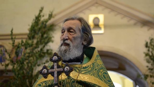 прот Александр Салтыков Троица Пятидесятница важная веха в истории человечества смотреть онлайн