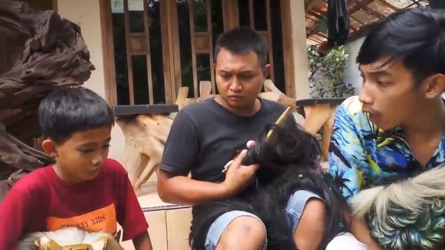 PUNYA PACAR EMANG MEREPOTKAN ! смотреть онлайн