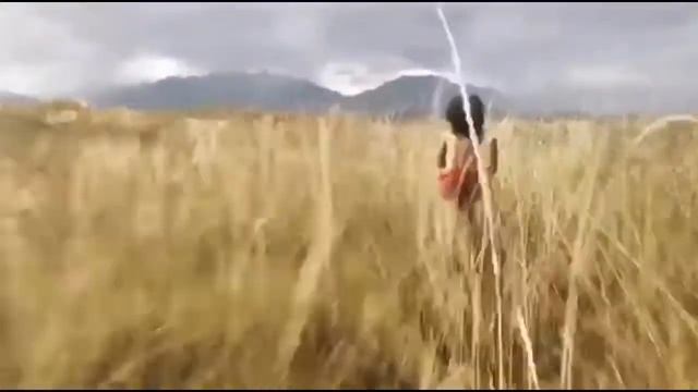 Shere Khan Attacks смотреть онлайн