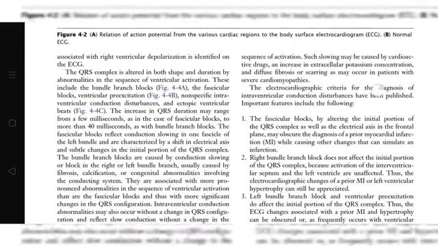 Netter's CARDIOLOGY 2nd EDITION BY Marschall S Runge , George A. Stouffer and Cam Patterson pdf смотреть онлайн