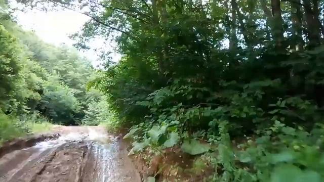 Горная дорога на пасеку в окрестностях села Танги-чу Урус-Мартановского района ЧЕЧНИ смотреть онлайн