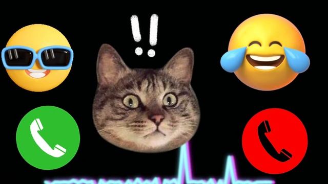 Apple best ringtone iPhone 13 pro cat #iphone смотреть онлайн