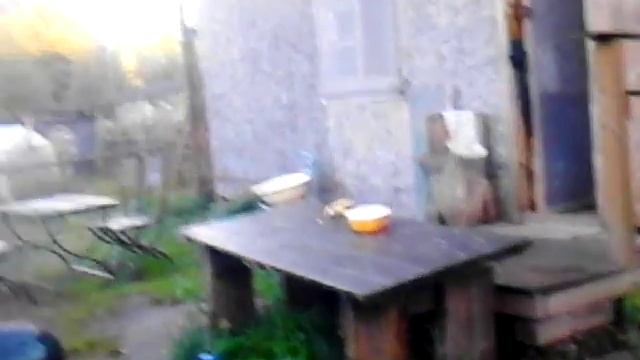 Прикол с дошираком ! смотреть онлайн