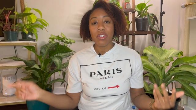 Plant Prop and Swap Event | Local Planty Meet Up смотреть онлайн