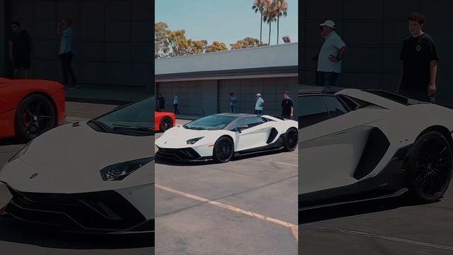 #lamborghini #ferrari #shots #viral #video #white #colors смотреть онлайн