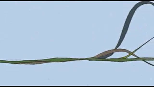 Loose Fur- Chinese Apple Music Video смотреть онлайн