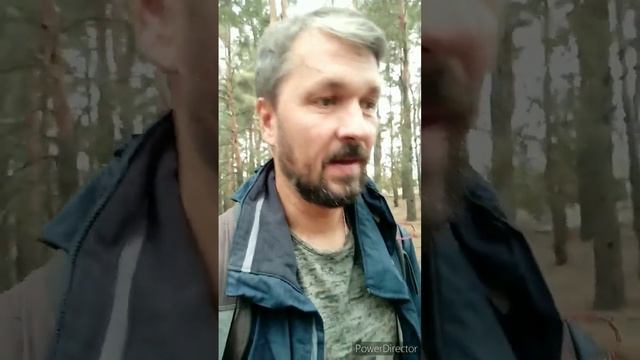 За мухоморами. Собираю и продаю мухоморы. Пишите в телеграмм https://t.me/Muhomar смотреть онлайн