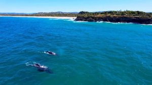 ПОТРЯСАЮЩЕЕ ВИДЕО В 4K VIDEO