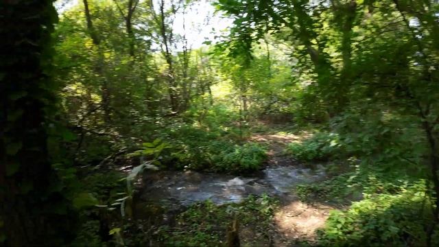 Ессентуки. Пешая прогулка в районе городского озера. 23 августа 2024 смотреть онлайн