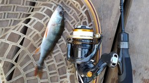 Ивановский пруд. Тестирование CF Nano One SE NSRSE612XULS(0,3-2,5гр)