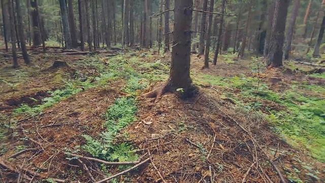 Маршрут до Волмы / Лайт+ / Сурф, Джип Гранд Чероке, Кирпич смотреть онлайн