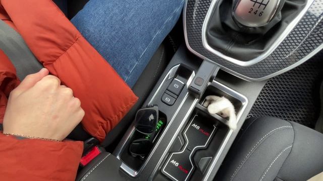 Электронный ручник и функция 