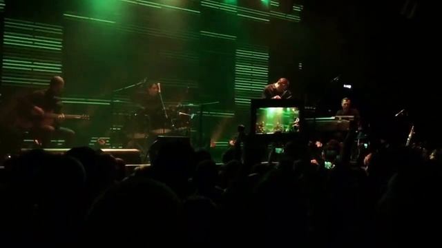 Dolphin | Дельфин - Дверь