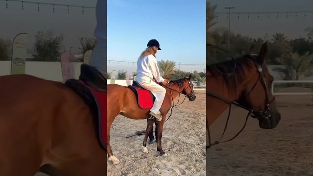 Самый необычный спорт в моей жизни #sashabelair смотреть онлайн