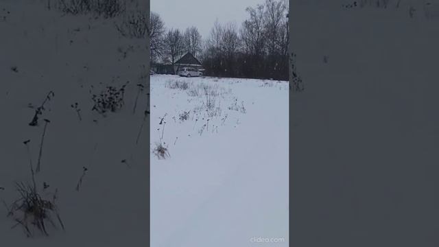 Subaru Forester - в своей стихии 💪 смотреть онлайн