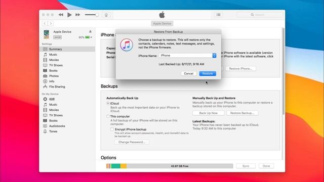 [3 Ways] How To Recover Deleted WhatsApp Messages on iPhone with/without Backup 2021 смотреть онлайн