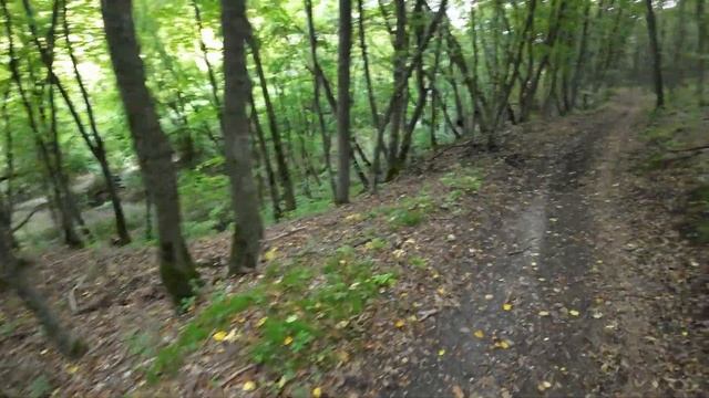 Кисловодск. Прогулка в районе поселка Верхнеподкумский через поселок Ясная поляна. смотреть онлайн