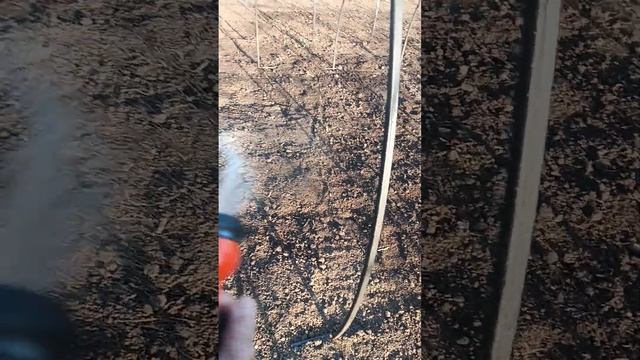 Яндекс меня обманул смотреть онлайн