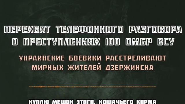 Украинские боевики расстреливали мирных жителей Торецка, отказавшихся покидать свои дома
