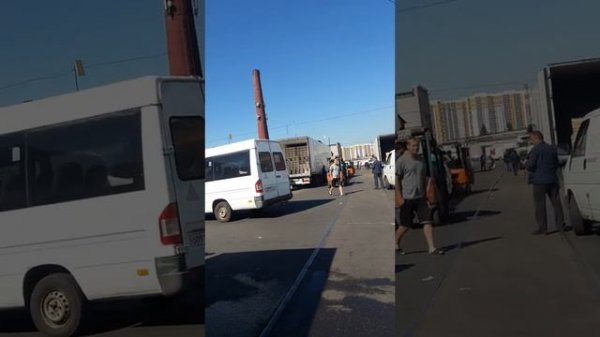 софийская овощная база