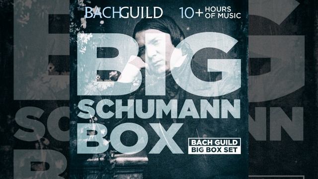 Symphonic Etudes, Op. 13: Etude V (Variation 4) : Scherzando смотреть онлайн