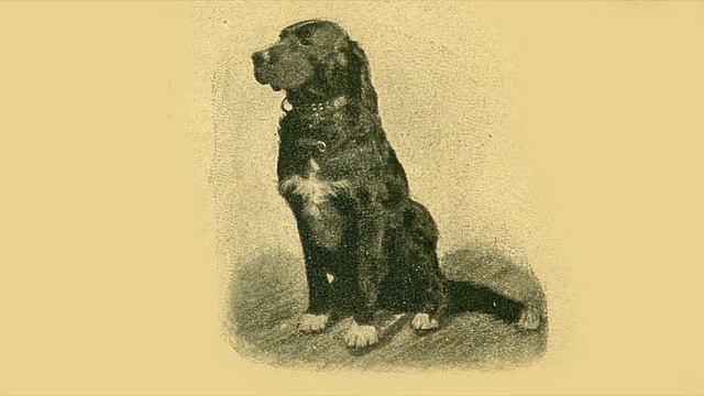 «Мой истый друг» смотреть онлайн