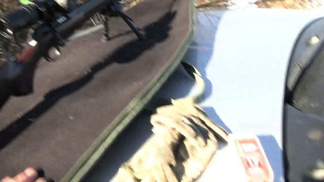 CZ 457 American 17 HMR (Review + Shooting) смотреть онлайн