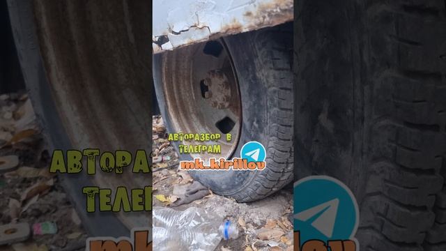 КОЛЕСА НА ГАЗЕЛЬ ☎️ +79370738633 Михаил #automobile #кириллов #самарскийавторазбор #авторазбор #газе смотреть онлайн