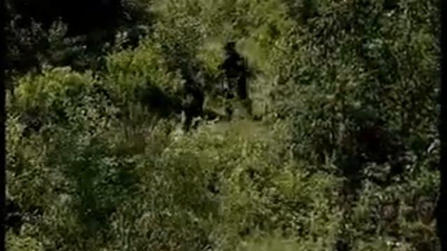 Хабаровский страйкбол 2006 смотреть онлайн