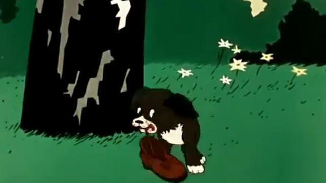 Вот так тигр! Мультфильм