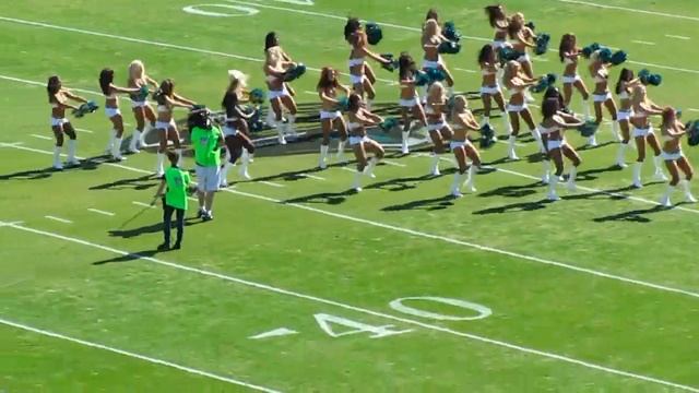 Jacksonville's Jaguar's Dance team The Roar of The Jaguars performance Nov 4, 2012. смотреть онлайн