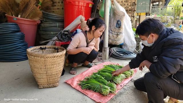 FULL VIDEO: harvesting bananas, green vegetables, sugarcane, gac sticky rice and fish for sale смотреть онлайн