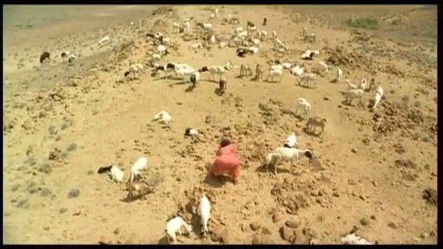 Wüstenblume смотреть онлайн