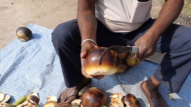Palm fruits | Tadgola Fal | ice Apple street food смотреть онлайн
