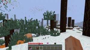 Minecraft Error 437_06