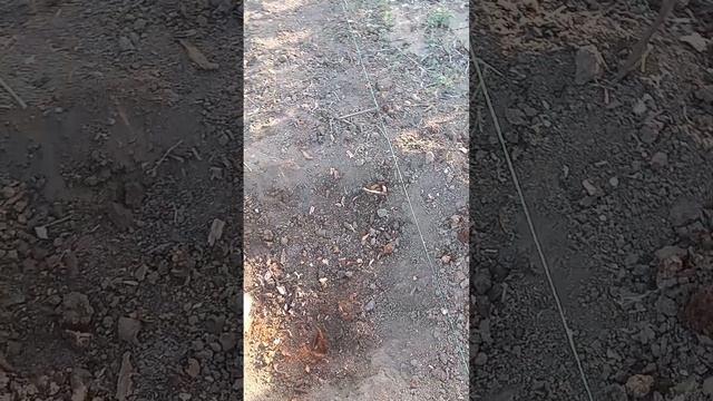 убрал пень.готовлю участок #клубника #огород #дача #1000000 #лето смотреть онлайн