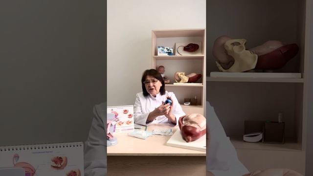 ИСТМИКО-ЦЕРВИКАЛЬНАЯ НЕДОСТАТОЧНОСТЬ (ИЦН) — УКОРОЧЕНИЕ ШЕЙКИ МАТКИ. КАК НЕ УПУСТИТЬ ВРЕМЯ?