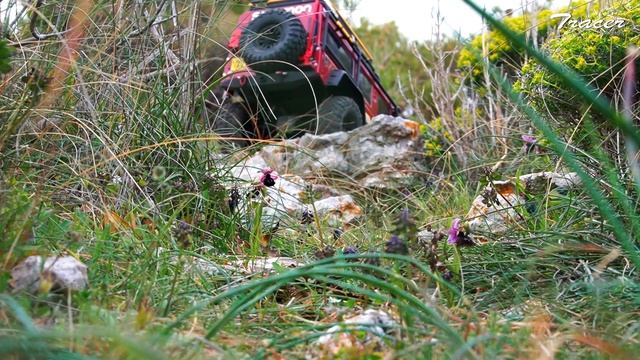 Wild path with Traxxas trx 4 Trail Crawler Land Rover Defender смотреть онлайн
