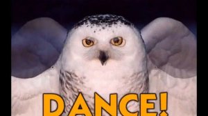 Sparta remix ( Instrumental version)