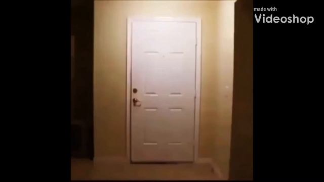 Big Bird knocks down door!! (MEME!!) смотреть онлайн
