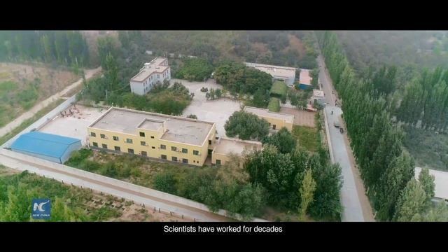 Witnessed by Satellites: Magical green handshake appears on desert смотреть онлайн