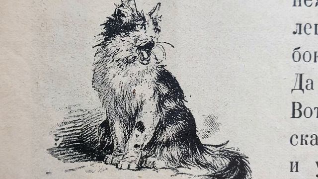 Наша кошечка Мурлышка смотреть онлайн