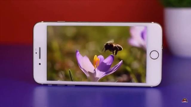 IPHONE 7 PLUS IN 2022 WORTH IT PA BA? PLUS TIPS WHERE TO BUY MURANG IPHONE | Jaden Yael смотреть онлайн
