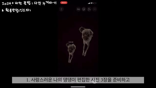 IOS16.0 버전 사진 나만의 스타일로 사진 꾸미기 (아이폰으로 사진 누끼따기, 아이폰사진꾸미기) смотреть онлайн