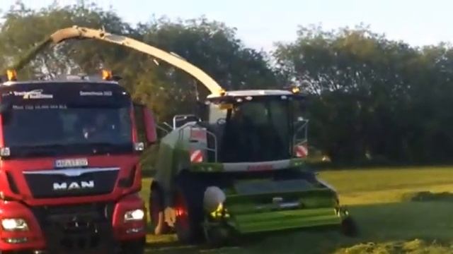 CLAAS JAGUAR 990 GRAS HAKSELEN MAN MET JOSKIN SILACHE WAGEN 70 KUUB смотреть онлайн