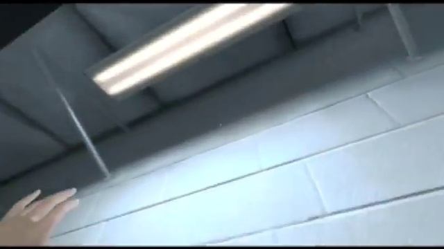 Mirror's Edge Walkthrough - Prologue: Financial District смотреть онлайн